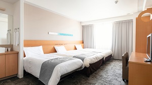 Western style room